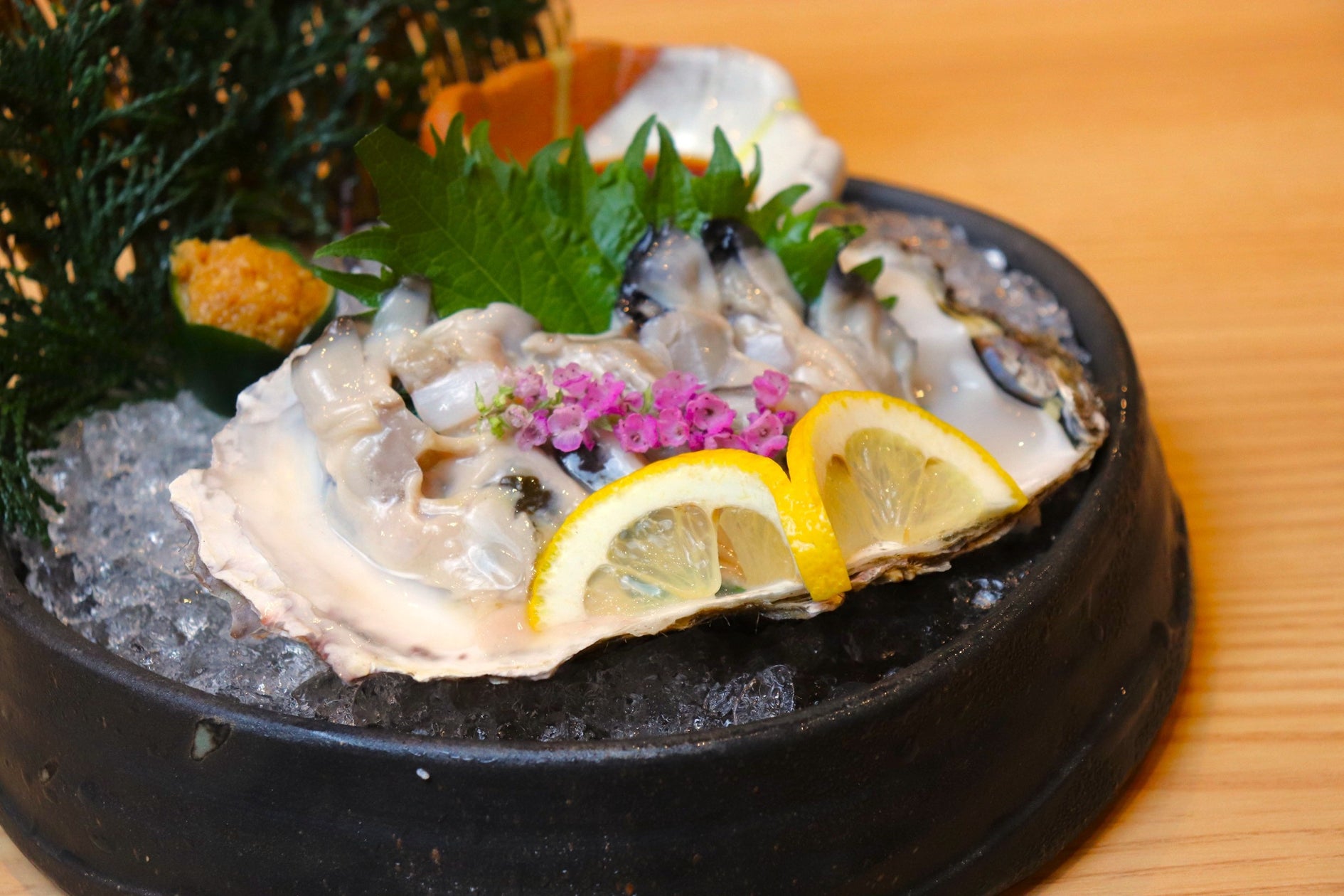 夏限定!シャリとろ牡蠣ルイベが必食😋30℃超えに超ウマ!