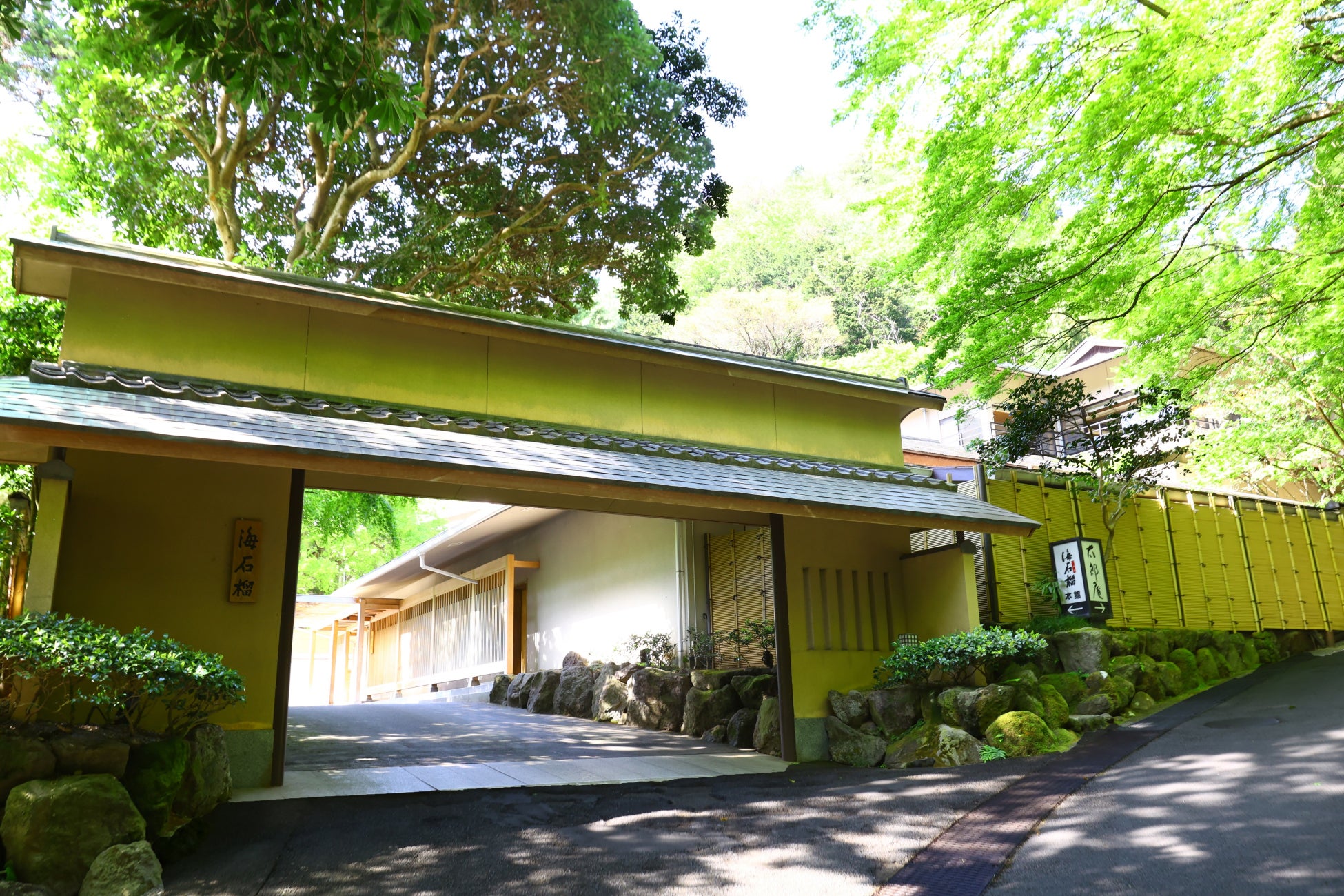 湯河原の夏がキタ🍉!涼やか特別プラン、超話題で必見✨