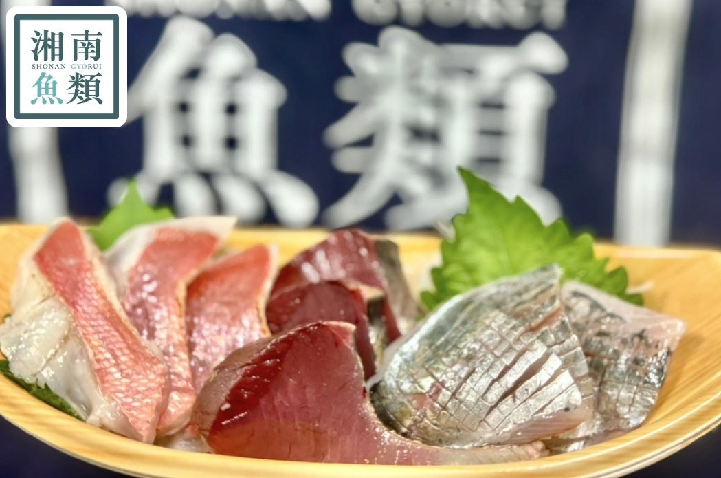 赤レンガ🍶59銘柄飲み比べ！激ウマフード必食確定🤤