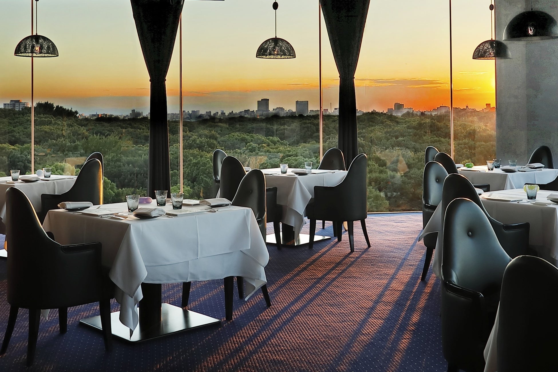 資生堂P原宿の絶景ディナー!大人時間必食🥂🌇