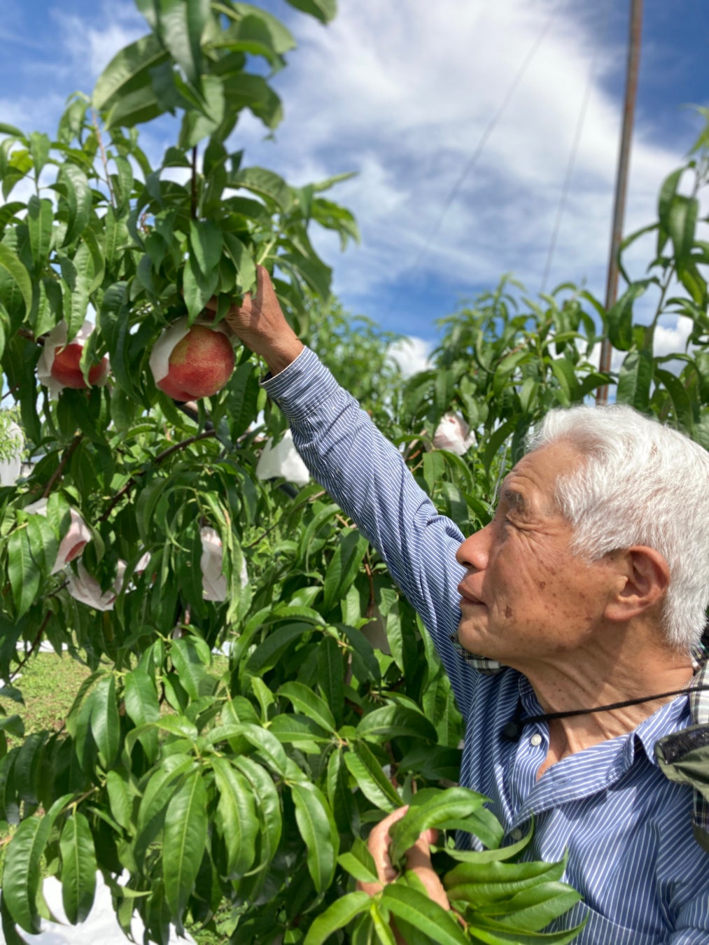 激ウマ確定！らでぃっしゅ旬野菜で献立革命✨53万食超話題