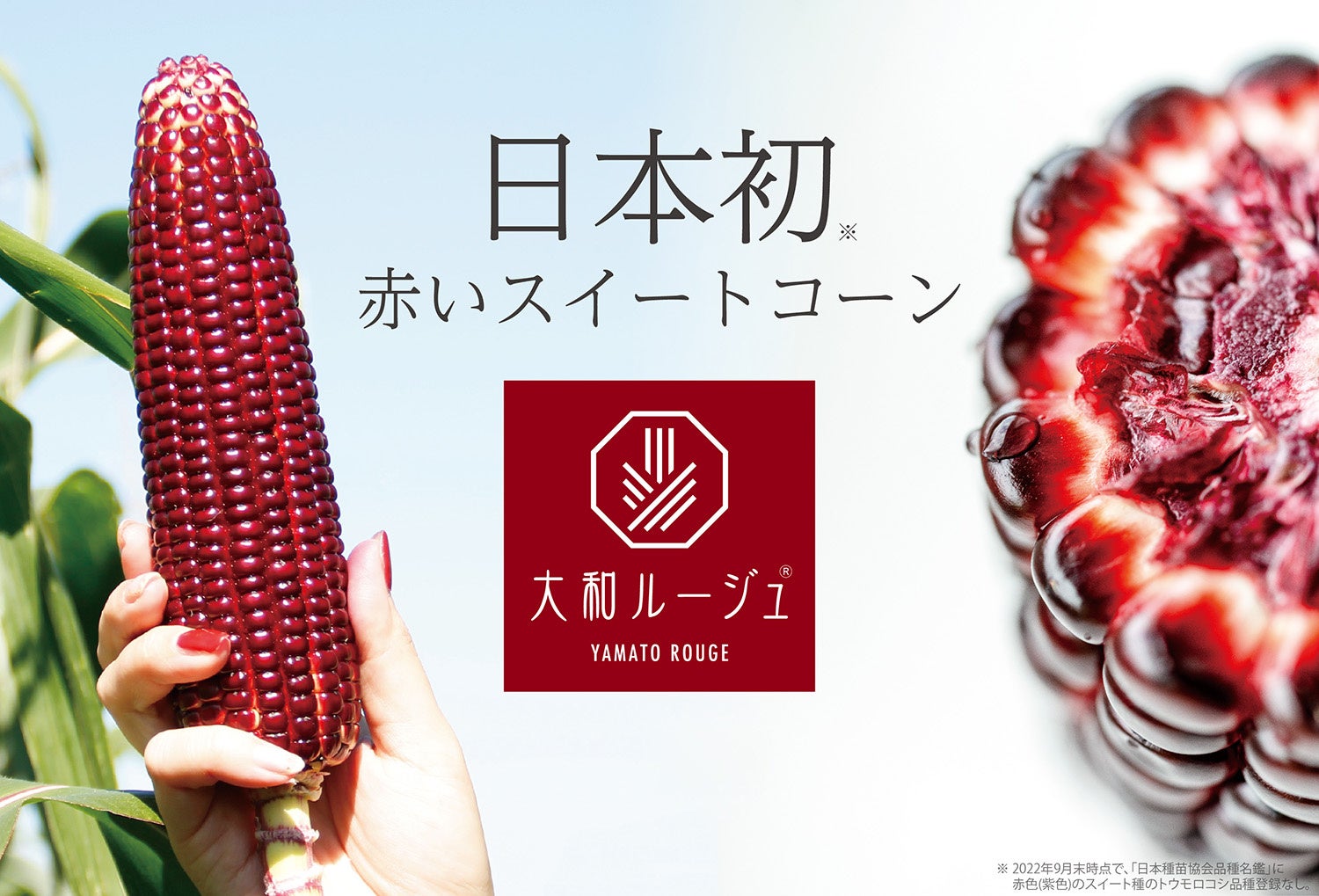 奈良老舗コラボ!地産地消メニューが激ウマ確定😋✨