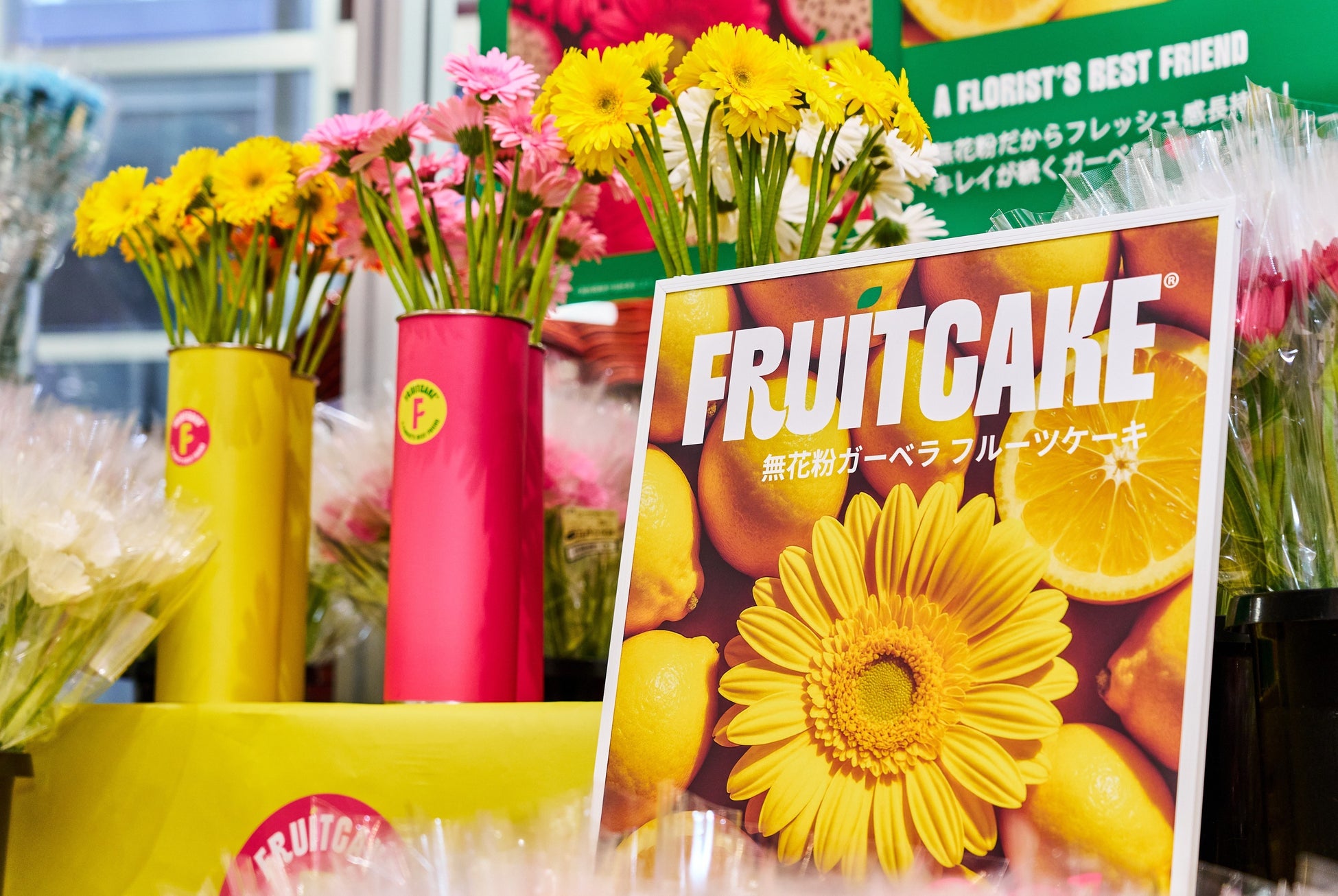 ヤオコー必見!話題沸騰「フルーツケーキ」ガーベラ可愛すぎ💐🍰