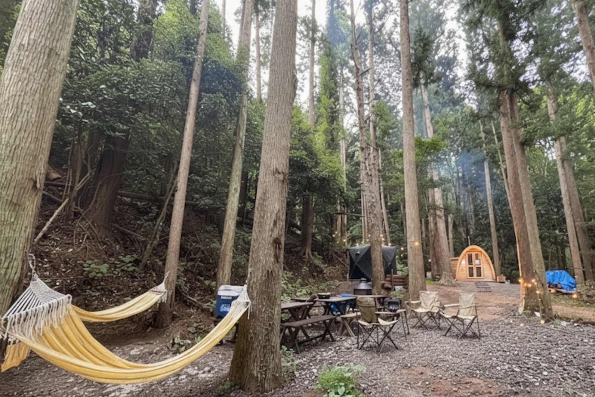 森の涼で整う!激ウマBBQ&かき氷10%OFF🌲🍧