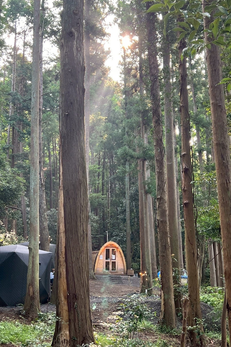 森の涼で整う!激ウマBBQ&かき氷10%OFF🌲🍧