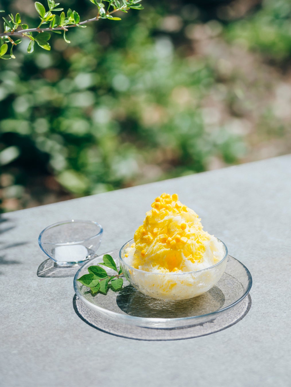あづみの水結かき氷」で水環境保全！激ウマ確定🍧✨