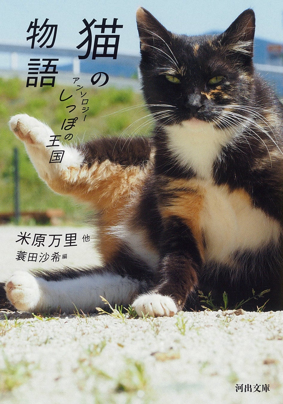 チョコ革命も!河出文庫の激ウマ新刊5冊は必食📚✨