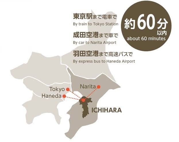 2026夏☀️市原【激ウマ】かき氷&話題スポット10選🍧