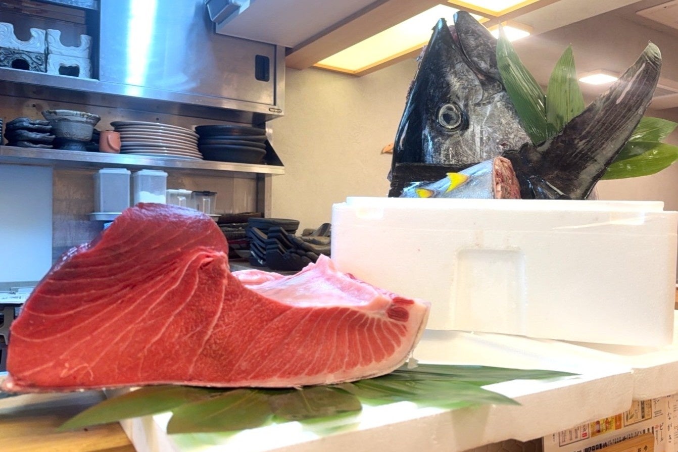 🚨本日入荷！壱岐島126kg本マグロ🐟激ウマ確定！TUNAC