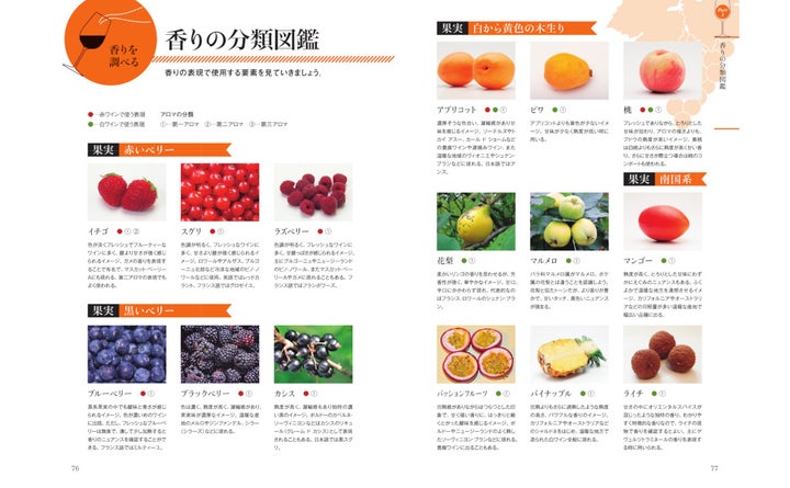 ソムリエ級！ワインの味覚覚醒！激ウマ確定本🍷✨