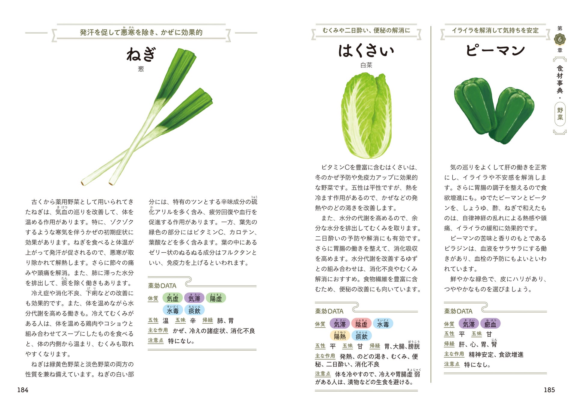 いつもの食材で激ウマ確定!薬膳の教科書が超話題🎉