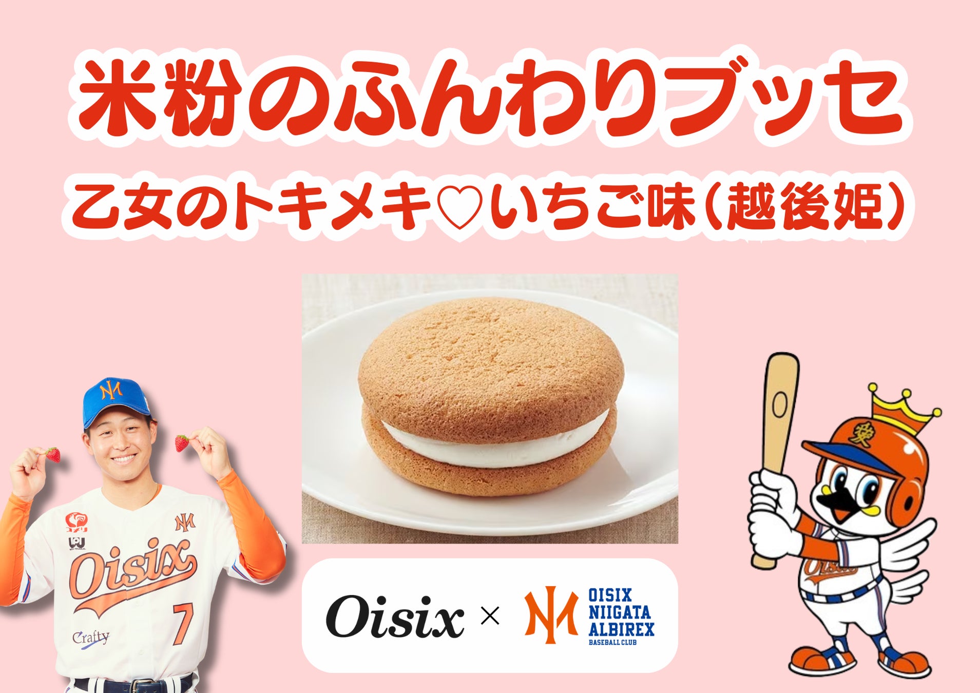 新潟TGC発🍓乙女の米粉ブッセは激ウマ確定の超話題スイーツ！