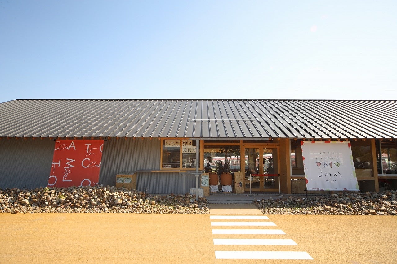 超話題!岐阜の夏限定ぶどうサウナ旅🍇🧖♀️