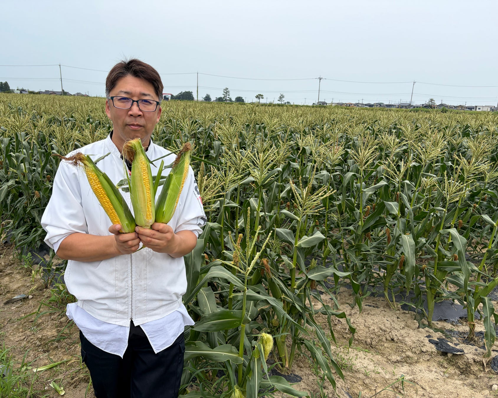 年に一度だけ!激甘コーンピザは必食確定🌽🤤