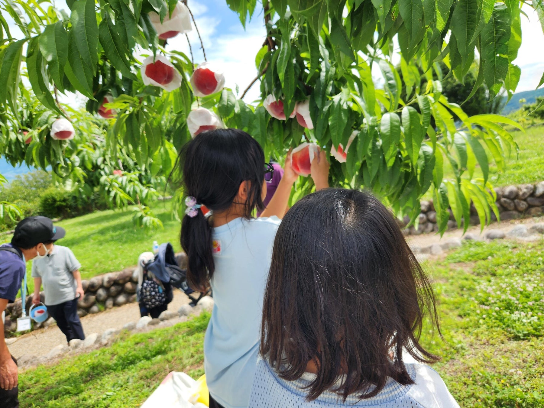 山梨！水遊び×富士山絶景！必食🍑桃かき氷🍧