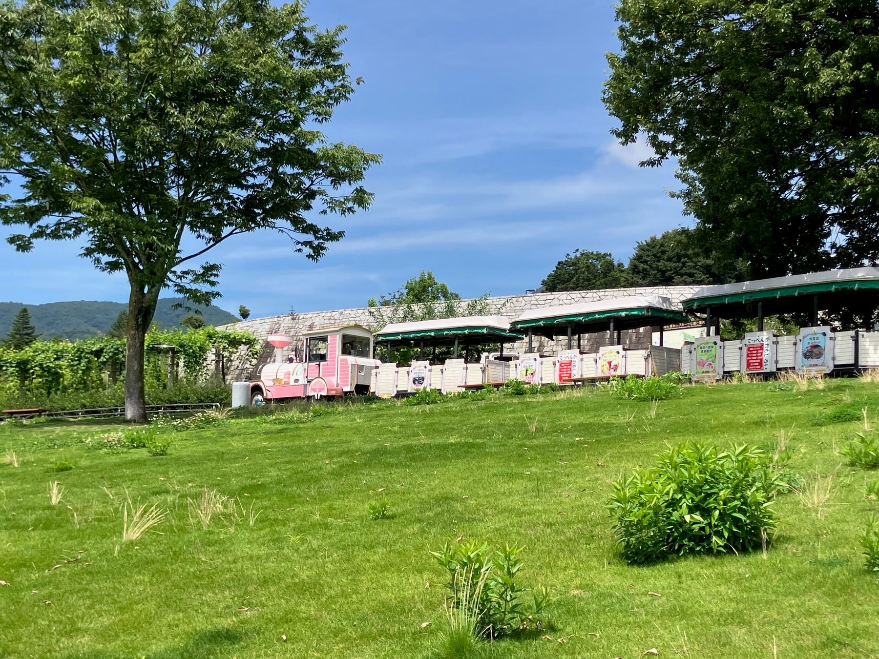 山梨！水遊び×富士山絶景！必食🍑桃かき氷🍧
