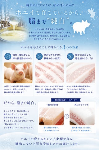 幻の豚「純白のビアンカ」出荷拡大！激ウマ確定🍖✨