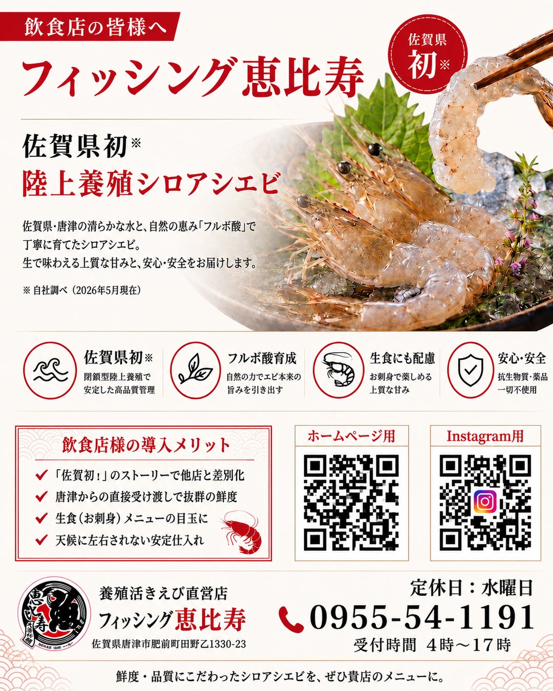 佐賀初✨お刺身シロアシエビ爆誕！鮮度と旨さに悶絶確定🦐
