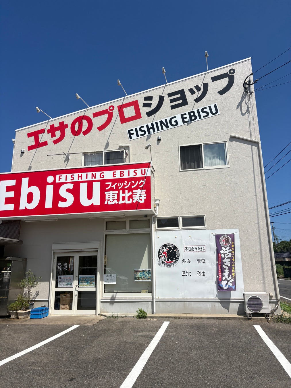 佐賀初✨お刺身シロアシエビ爆誕！鮮度と旨さに悶絶確定🦐