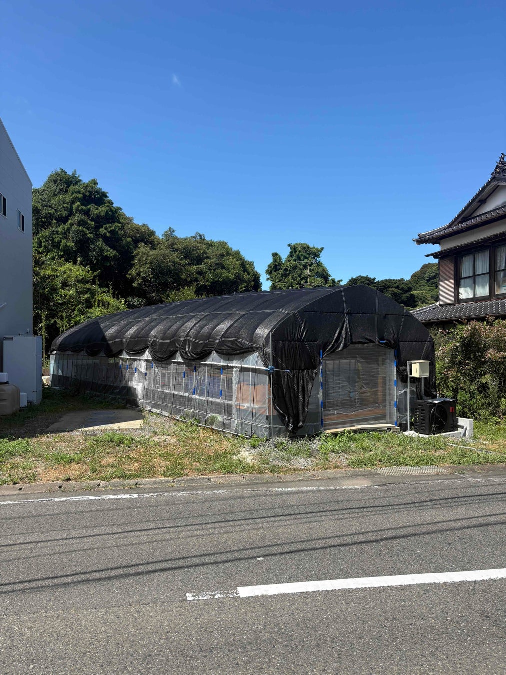 佐賀初✨お刺身シロアシエビ爆誕！鮮度と旨さに悶絶確定🦐