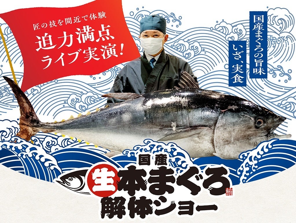 かっぱ寿司解体!30kg生本まぐろ🐟激レア部位必食確定🍣