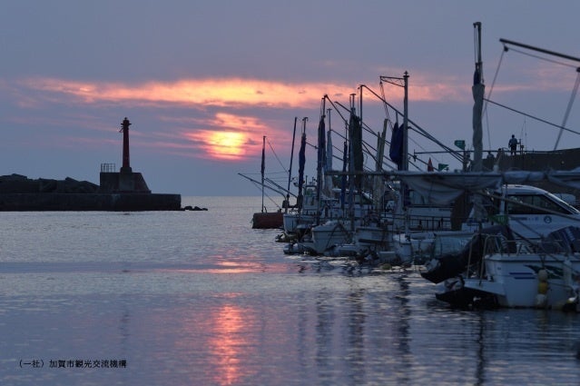 激ウマ確定！北陸絶景宿で漁港直送旬魚7種と地酒飲放🐟✨
