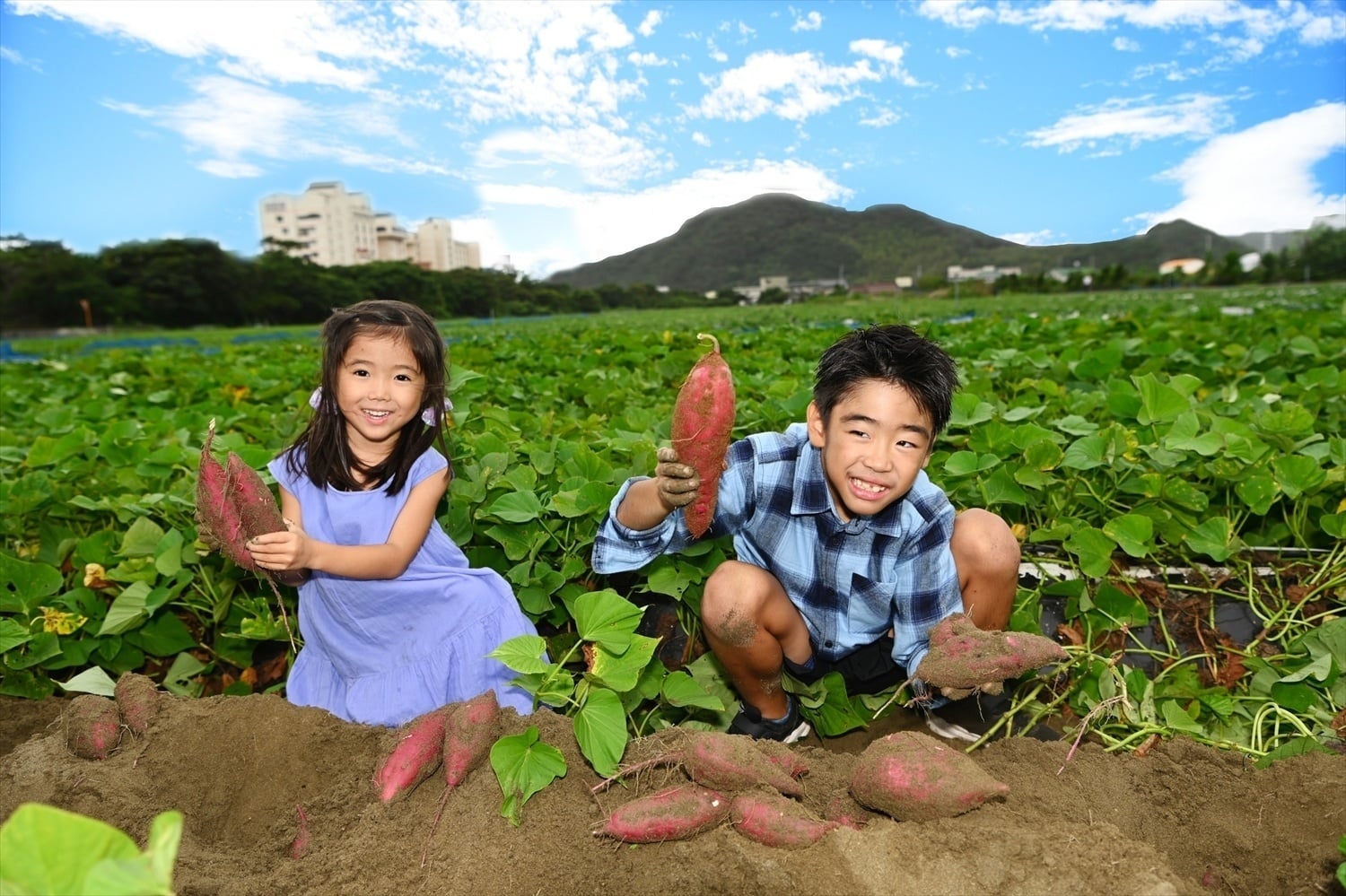 徳島鳴門🍁激ウマ芋掘り体験!温泉・絶景グルメが必食🤤