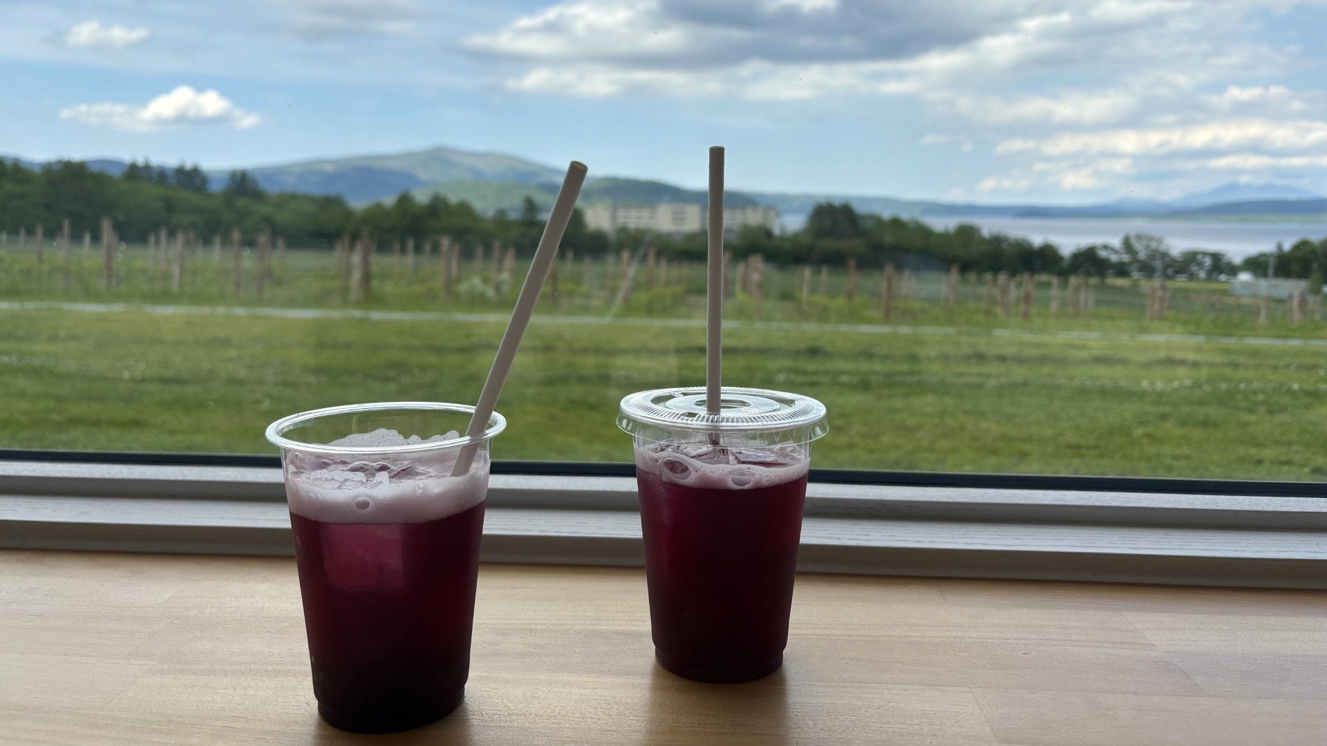 屈斜路プリンスで激ウマ確定🍷秋のワイン美食旅✨