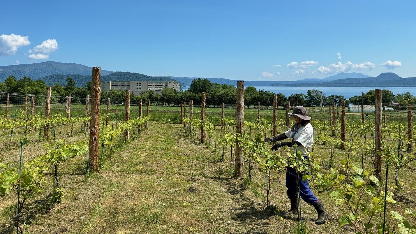 屈斜路プリンスで激ウマ確定🍷秋のワイン美食旅✨