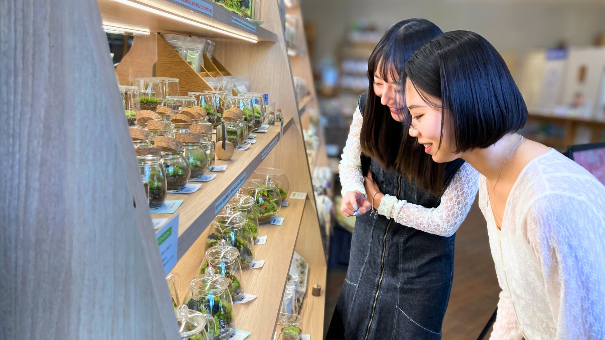 超話題！十和田プリンス🏨ガソリン付絶景美食旅✨