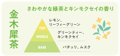 金木犀茶🍵新登場!癒やし香る激ウマ確定✨