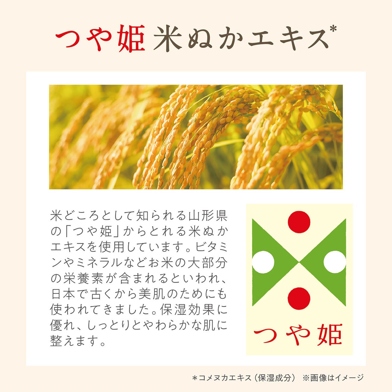 金木犀茶🍵新登場!癒やし香る激ウマ確定✨