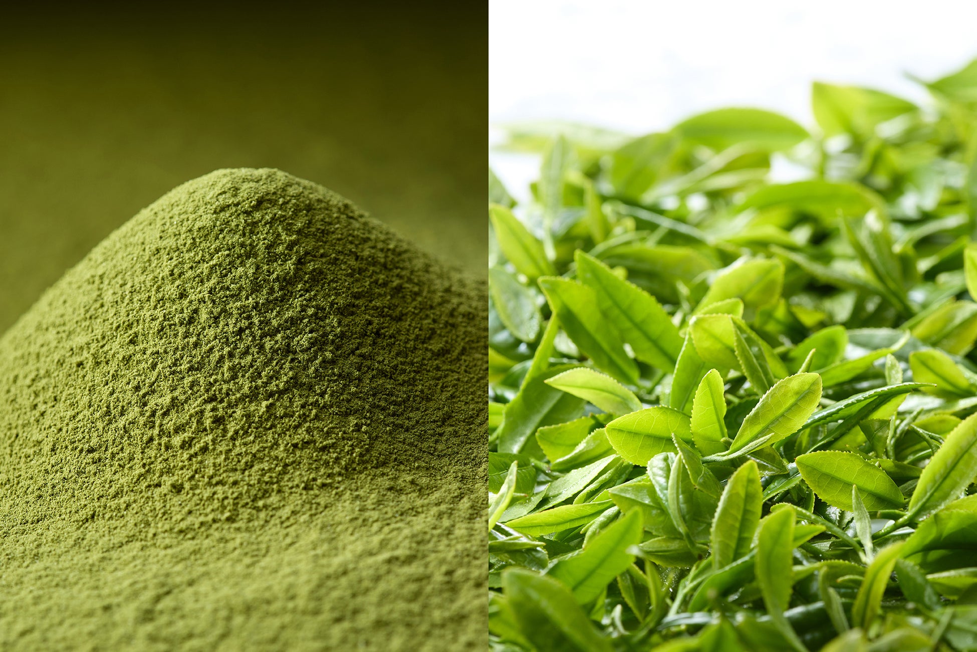 関西初!ザ カンパネラの抹茶&限定タルトは超話題🤤✨