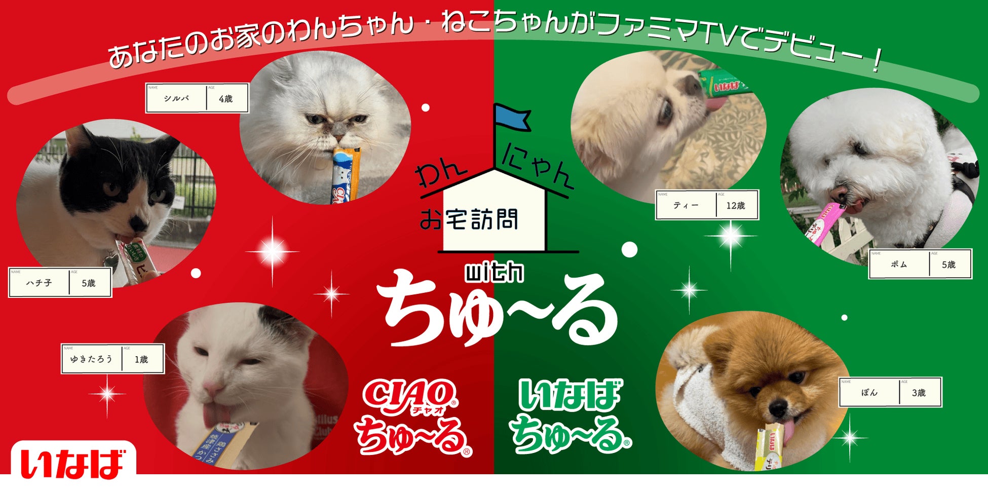 激カワ確定！わんにゃん全国デビュー😻ファミマでちゅ～る買って
