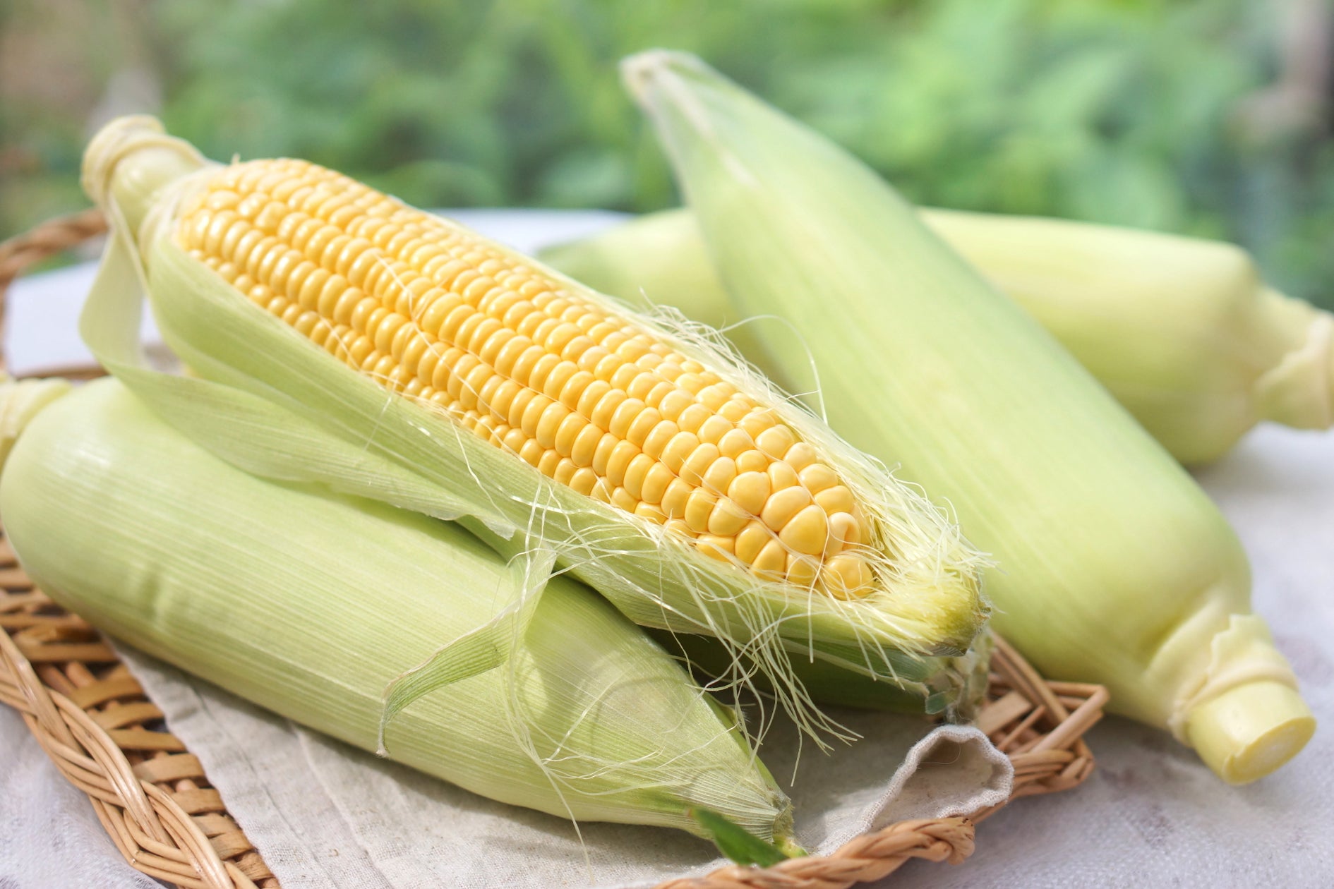 激ウマ確定!空飛ぶ朝採り🌽甘さ爆発✨必食