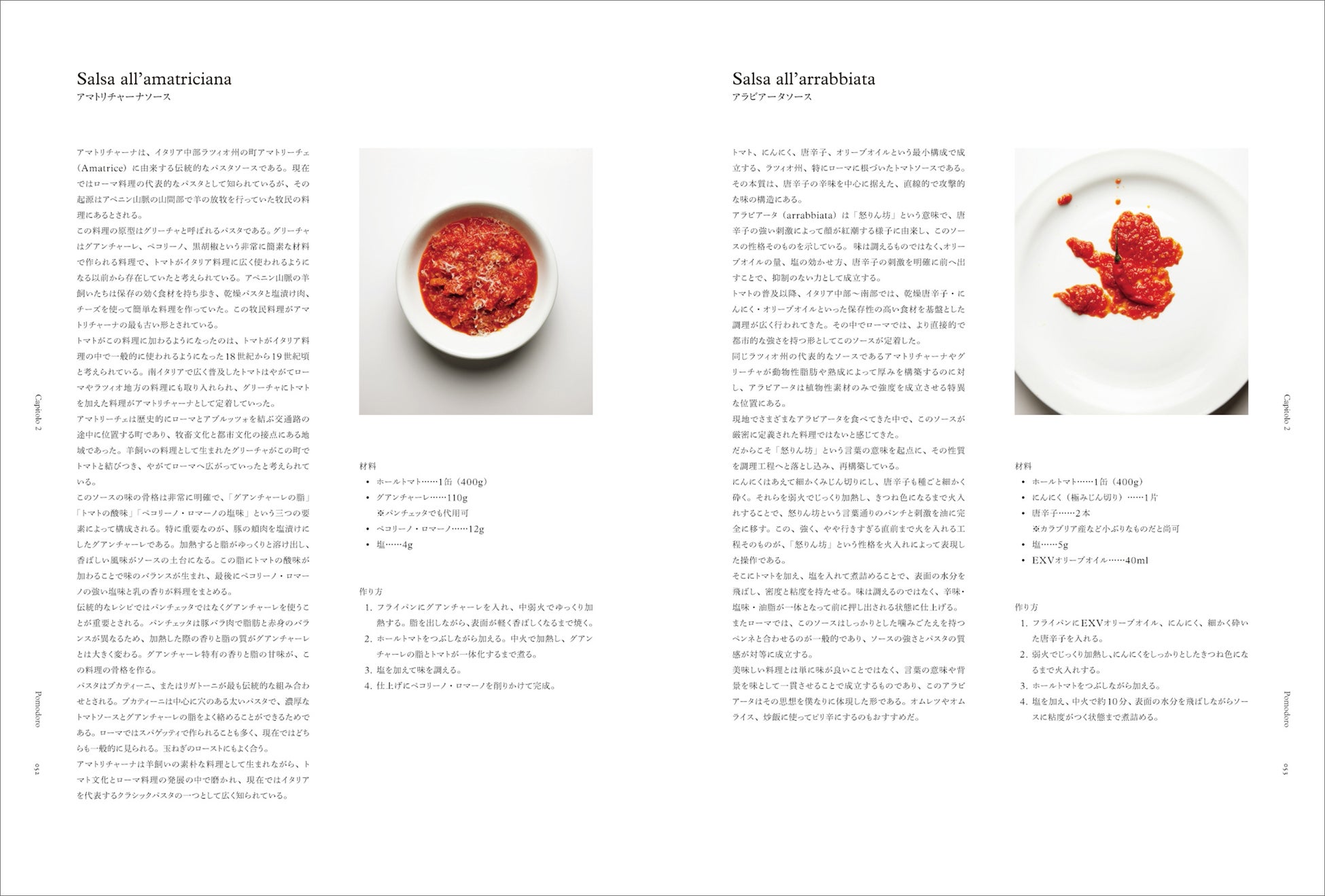 SALSA』Amazon1位！超話題のソース本で料理激ウマ確