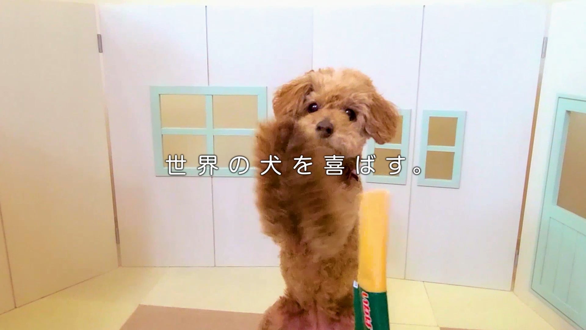 いなばちゅ~るテリーヌ爆誕!わんこ悶絶の神グルメ確定🐶