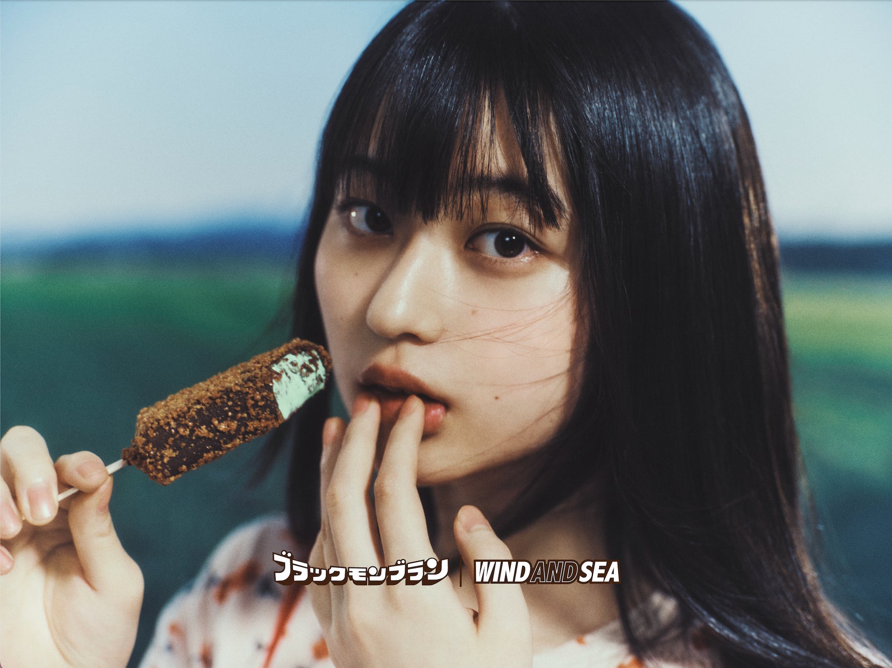 必食!ブラモン×WDSチョコミント激ウマ確定🍦🤤