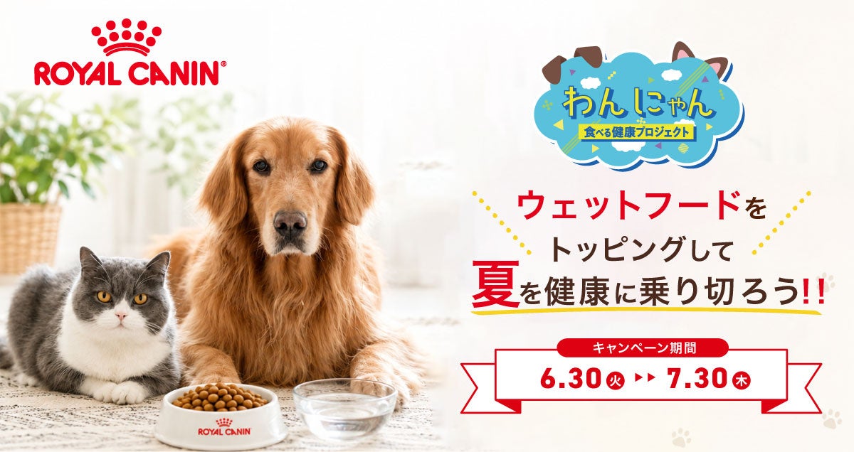 ロイヤルカナン新習慣で愛犬愛猫ご飯が超話題!激ウマ確定😋💖