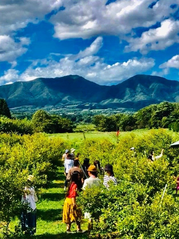 蒜山高原🐄ステーキ食べ放題!🫐狩りも激ウマ確定夏旅!