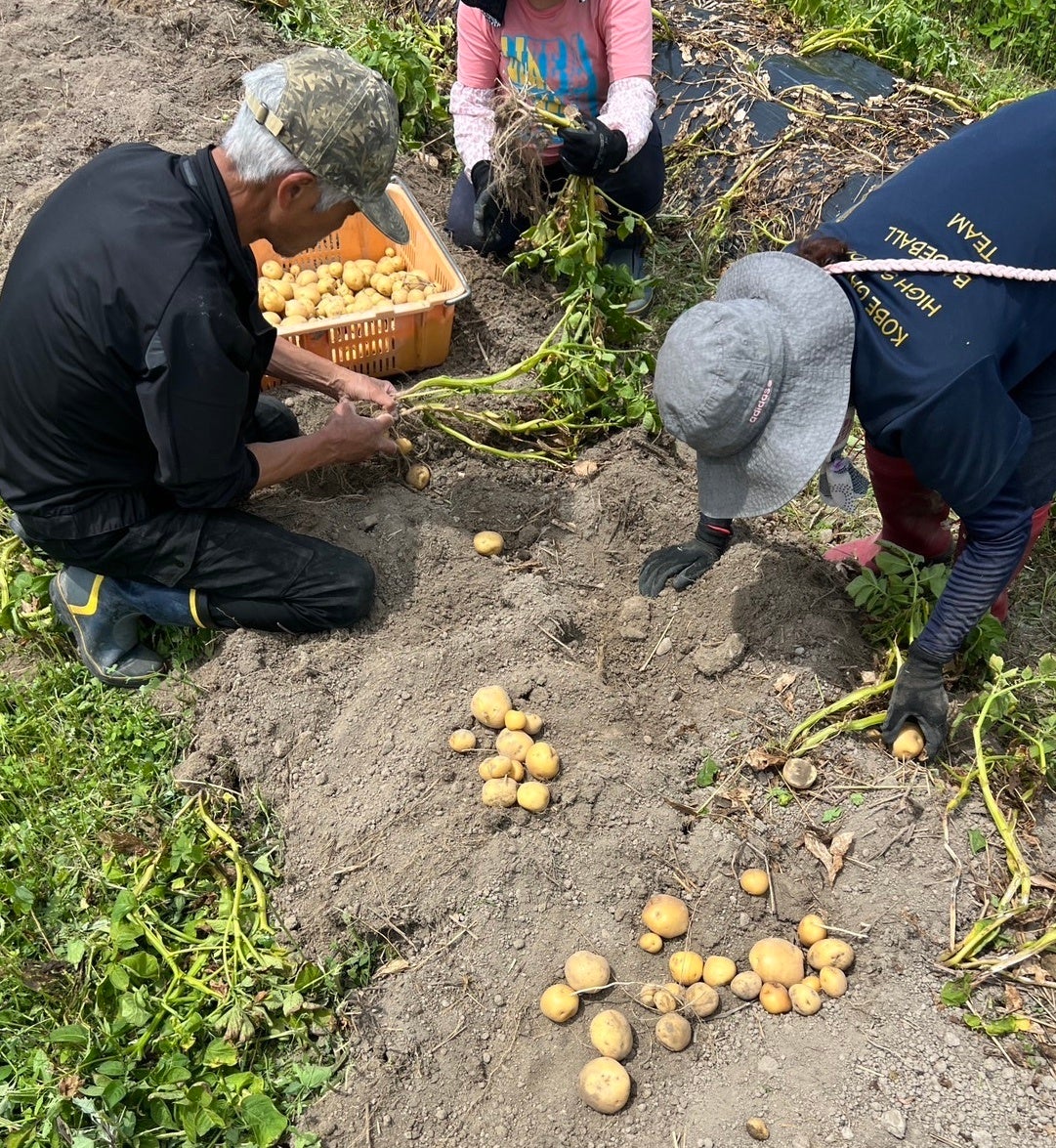 有機じゃがいも🍟激ウマ確定！Farm to Fries必食✨
