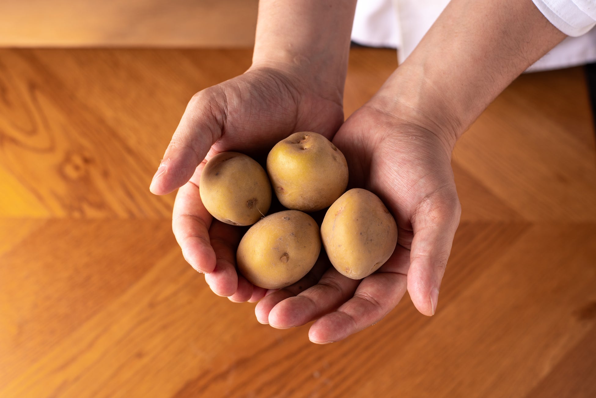 有機じゃがいも🍟激ウマ確定！Farm to Fries必食✨