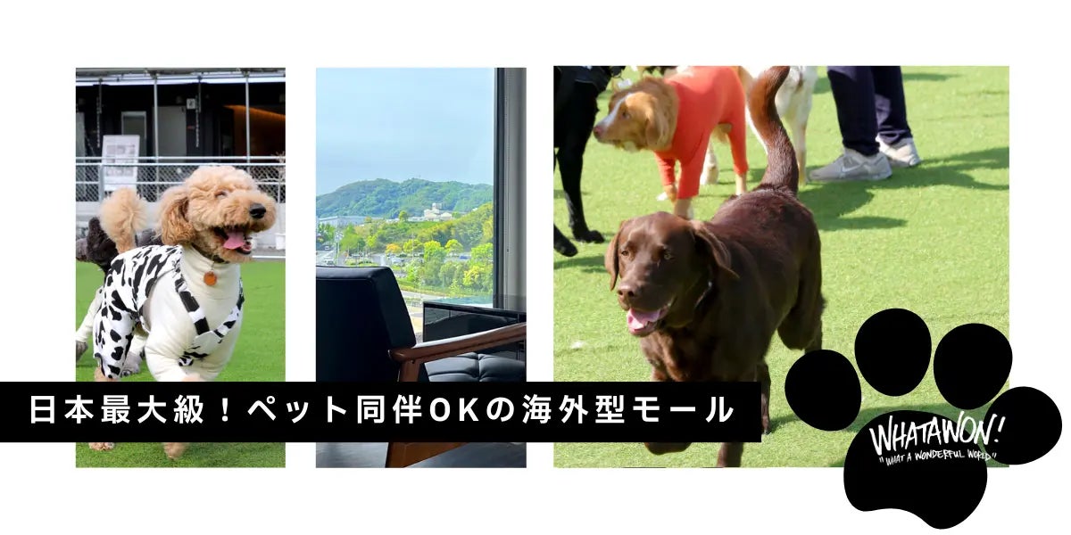 超話題🔥ディスコ縁日復活！7/12限定の幻想夏祭り🏮