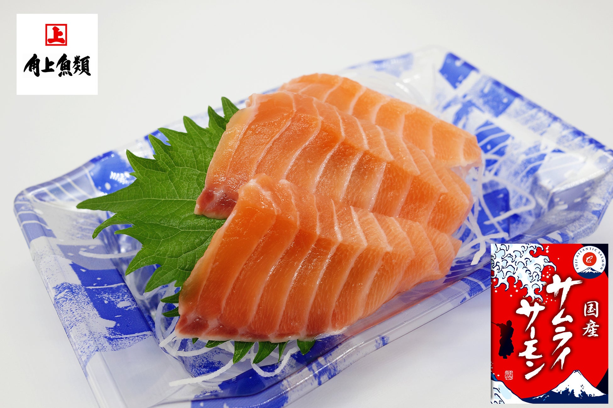 サムライサーモン爆誕！日本唯一の超鮮度を必食😋🍣