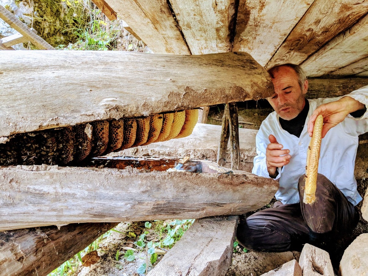 激ウマ確定!Wild JARA Honey初出展🍯必食級の無