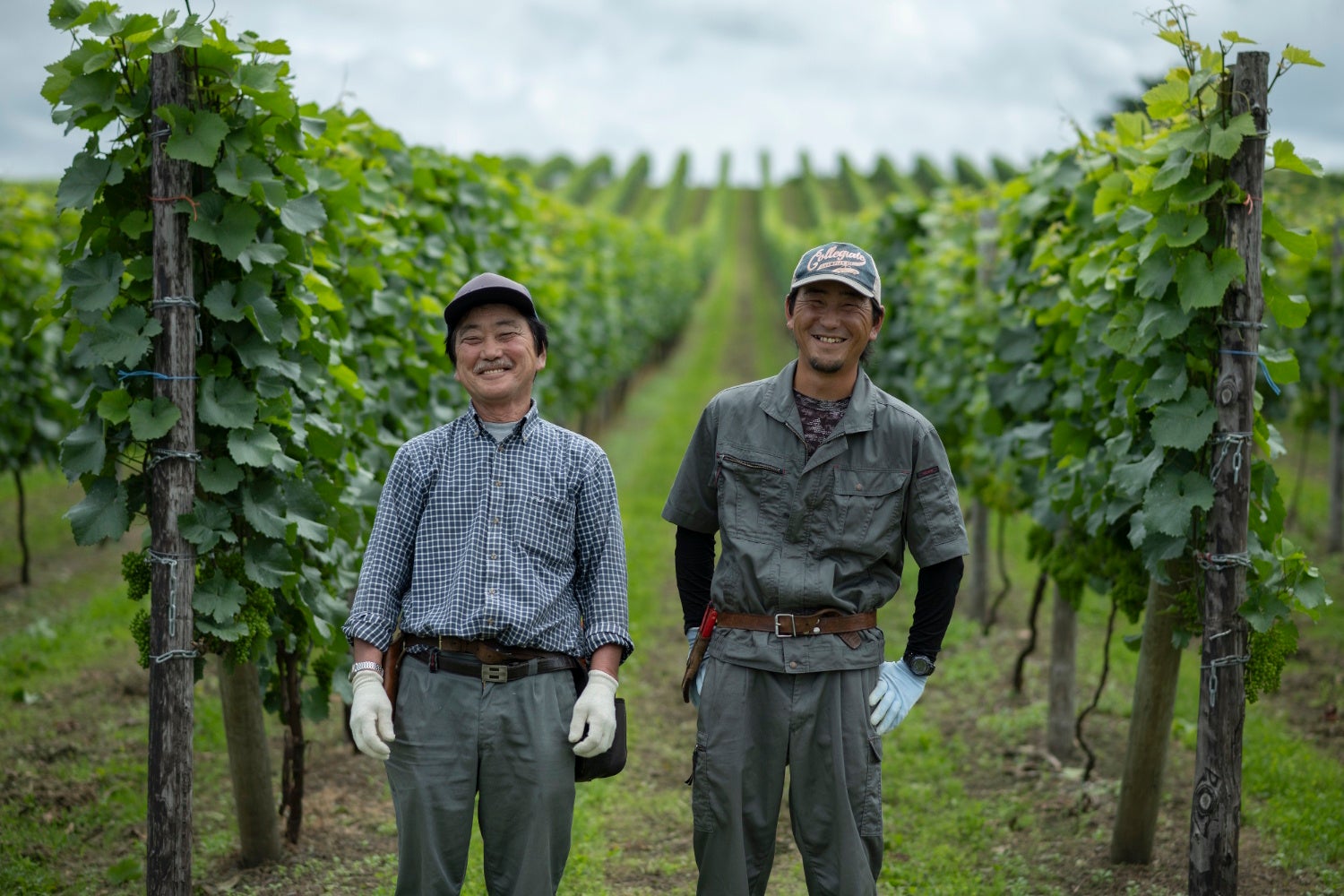 北海道ワイン初金賞🏅🥂超話題の激ウマ確定作！
