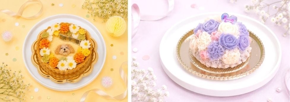 50代趣味活！愛犬ケーキが超話題💖激ウマ確定🎂