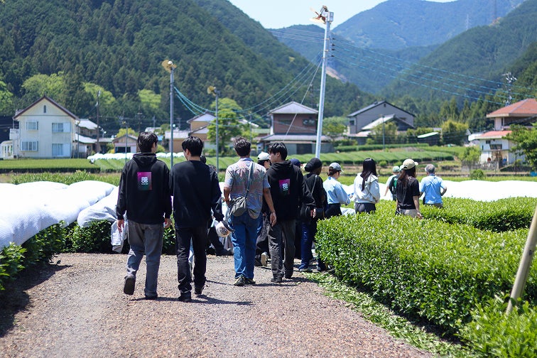 【必食】世界80カ国絶賛！日本抹茶が激ウマ確定🍵✨