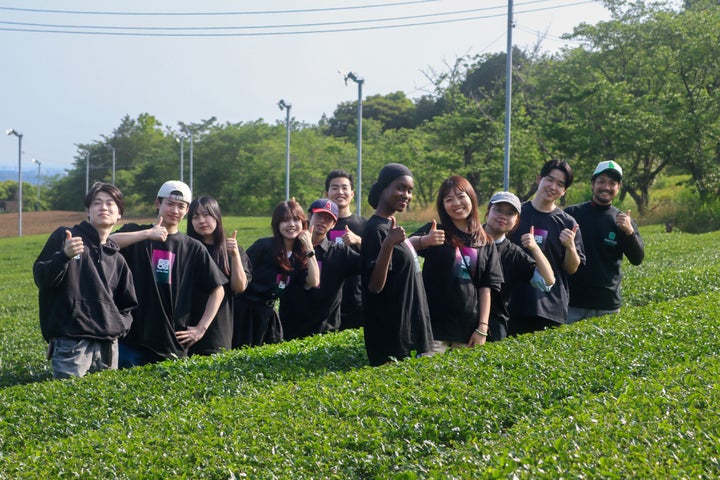 【必食】世界80カ国絶賛！日本抹茶が激ウマ確定🍵✨