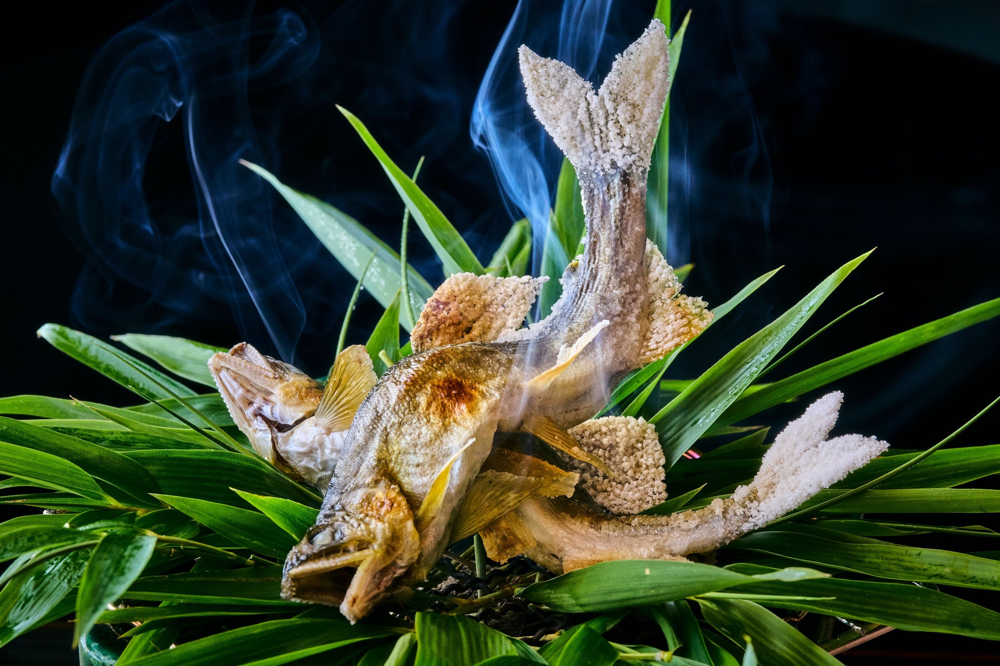 超話題！箱根リトリートの秋薪火＆料亭が激ウマ確定🍁